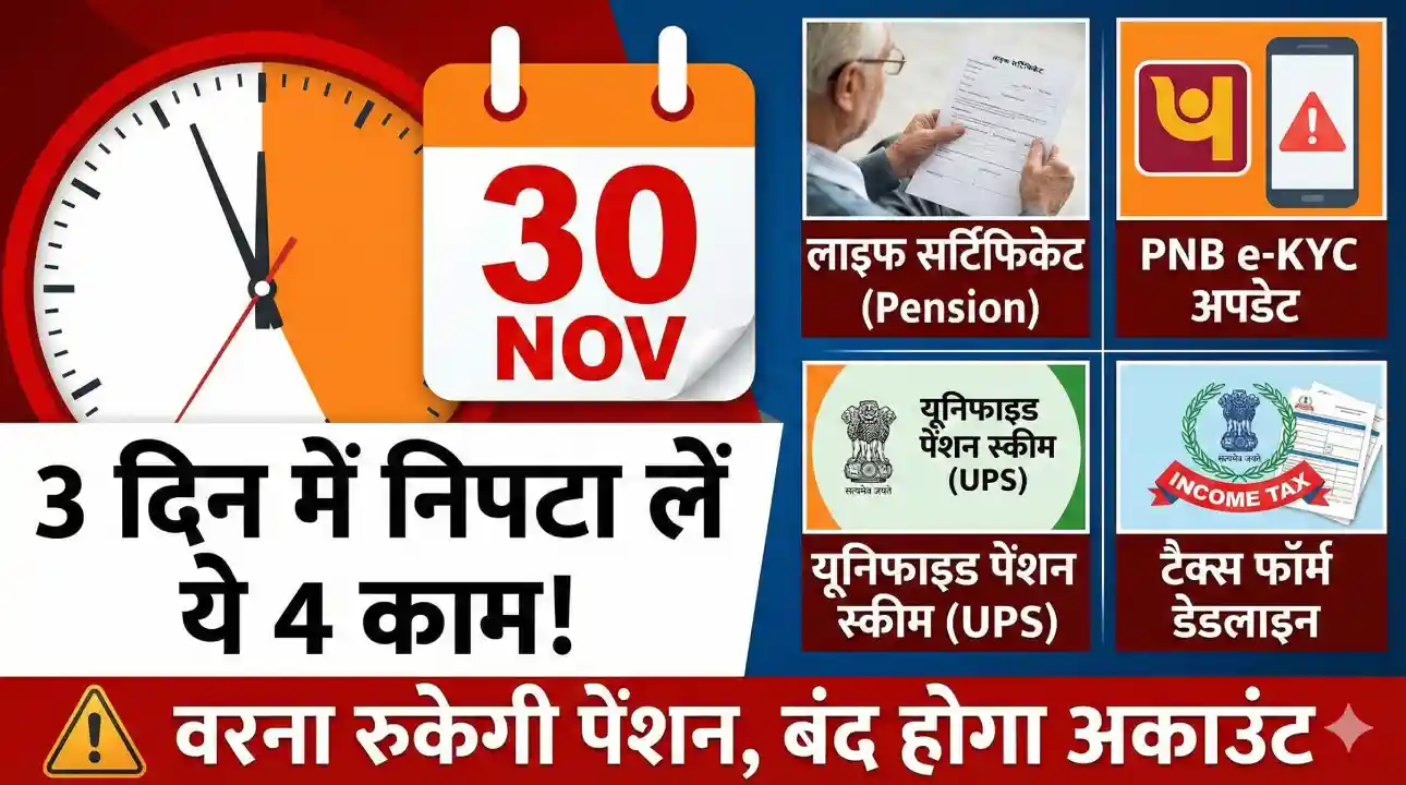 30 november deadline